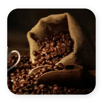 collection-img